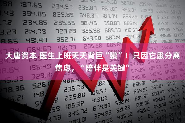 大唐资本 医生上班天天背巨“鹦”！只因它患分离焦虑，“陪伴是关键”