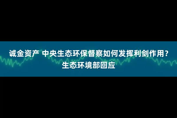 诚金资产 中央生态环保督察如何发挥利剑作用？生态环境部回应