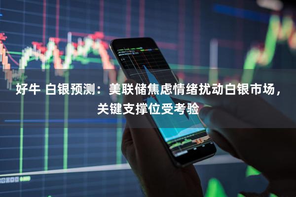 好牛 白银预测：美联储焦虑情绪扰动白银市场，关键支撑位受考验