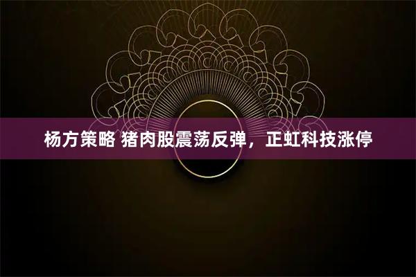 杨方策略 猪肉股震荡反弹，正虹科技涨停