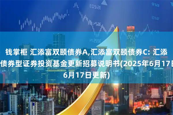 钱掌柜 汇添富双颐债券A,汇添富双颐债券C: 汇添富双颐债券型证券投资基金更新招募说明书(2025年6月17日更新)
