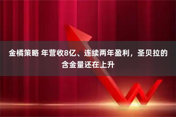 金橘策略 年营收8亿、连续两年盈利，圣贝拉的含金量还在上升