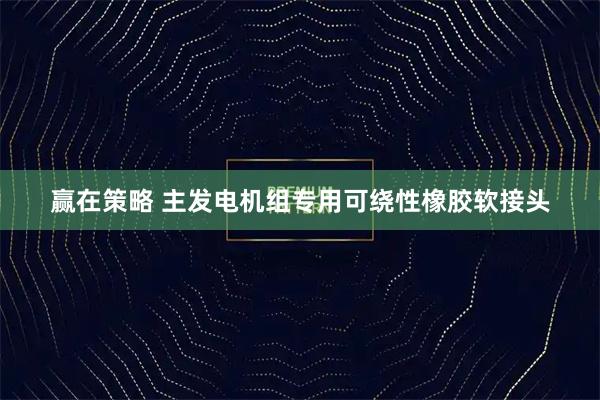 赢在策略 主发电机组专用可绕性橡胶软接头