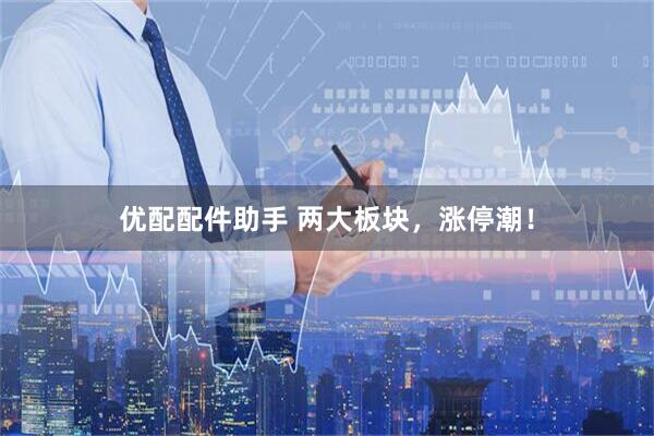 优配配件助手 两大板块，涨停潮！